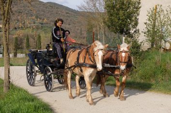 Kutschfahrten mit dem netten Hofbesitzer auf unserem Agriturismo Fiorentino
