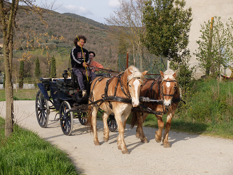 Kutschfahrten mit dem netten Hofbesitzer auf unserem Agriturismo Fiorentino