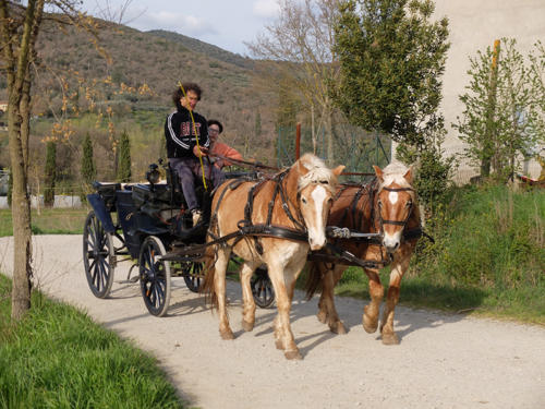 Kutschfahrten mit dem netten Hofbesitzer 