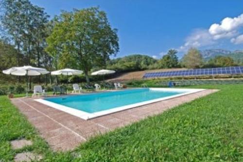 Der schöne, große Swimmingpool im Garten - ohne Chlor