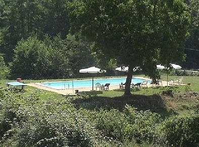 Pool im schönen, grünen Garten