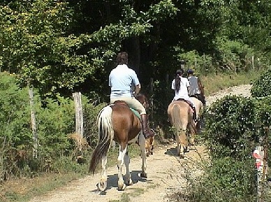 Reiten ist auf unserem Bauernhof besonders beliebt