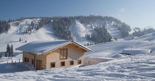 almhuette-lofer-ski-12