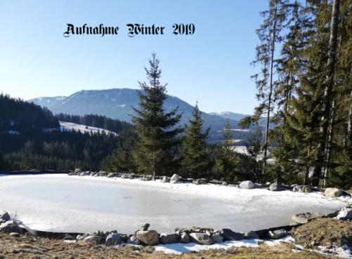 almhuette-steiermark-oesterreich-17