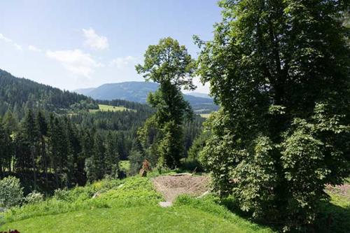 almhuette-steiermark-oesterreich-5