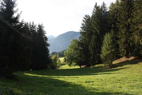 almhuette-steiermark-oesterreich-9