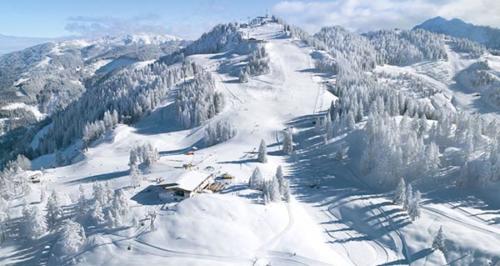 chalet-st-johann-ski-8