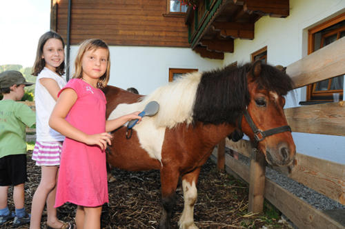 Liebe Ponys erwarten die kleinen Gäste auf dem, zum Hotel gehörenden Bauernhof