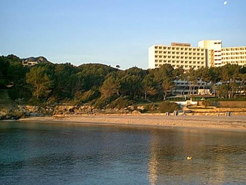 Der schöne Sandstrand von Font de sa Cala auf Mallorca ist bei Familien mit Kindern sehr beliebt