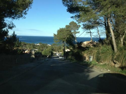 Würzig duftende Pinienbäume auf dem Weg zum feinen Sandstrand von Font de sa Cala