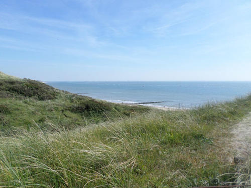 SAMSUNG CAMERA PICTURES