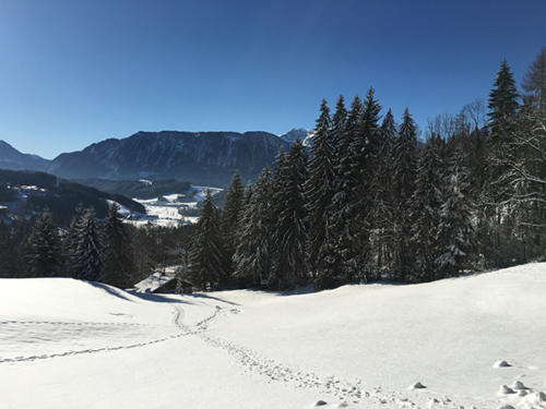 wohlfuehllandhotel-stodertal-12
