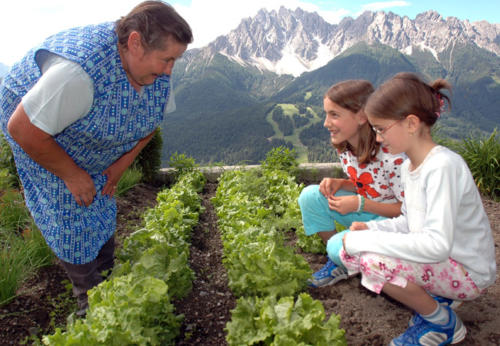 Im Kräutergarten stöbern
