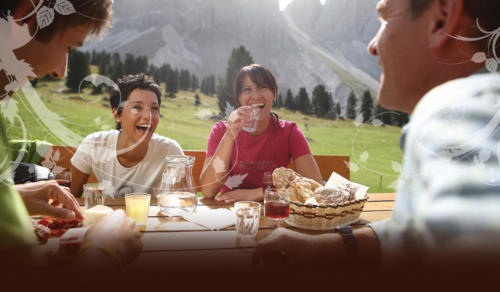 Gemeinsame Almenwanderungen