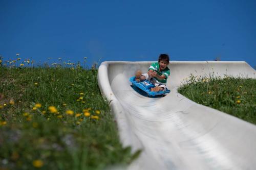 Beliebte Sommerrodelbahn in der Nähe